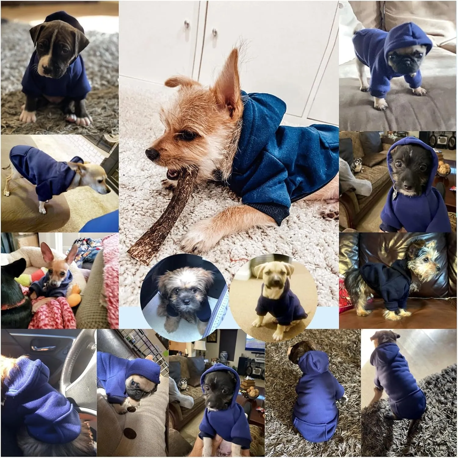 Jecikelon Winter Dog Hoodie Sweatshirts with Pockets Warm Dog Clothes for Small Dogs Chihuahua Coat Clothing Puppy Cat Custume (Navy, XX-Small)