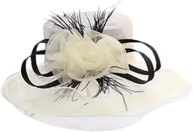 Womens Wide Brim Bowler Fedora Hat Vintage Felt Floppy Fascinator Hat with Vel Winter Hat